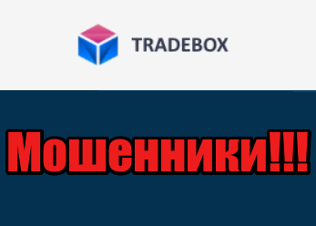 TradeBox (Трейд Бокс) – игровые автоматы легально в ваш зал