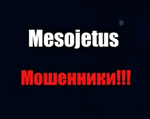 Mesojetus