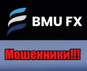 BMU Capital