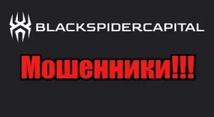 Black Spider Capital